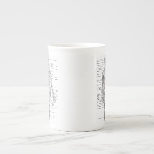 Pädagogisches menschliches Anatomie-Diagramm Porzellantasse (Vorderseite)