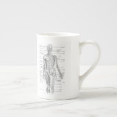 Pädagogisches menschliches Anatomie-Diagramm Porzellantasse (Rechts)