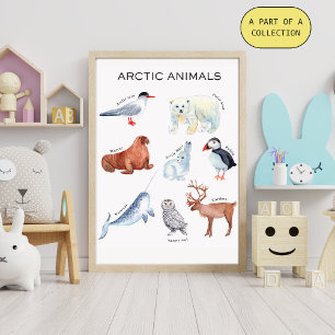 Pädagogisches Poster über Arktische Tiere