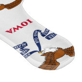 Paddel aus Glas mit Iowa-Flagge Schneidebrett (Ecke)