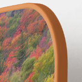 Paddel im Herbst lässt Fallfarben fallen Pickleball Schläger (Linke Seite)