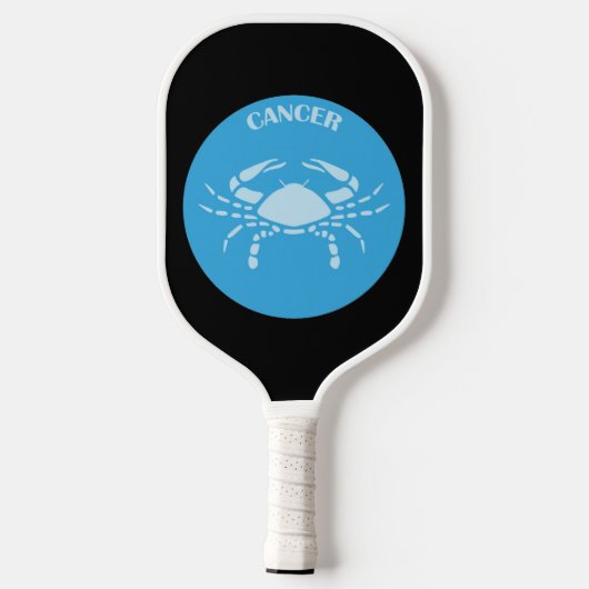Paddel Pickleball Schläger (Rückseite)