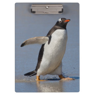 Paddelnder Gentoo-Clipboard Klemmbrett