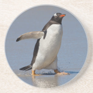 Paddelndes Gentoo-Coaster Untersetzer
