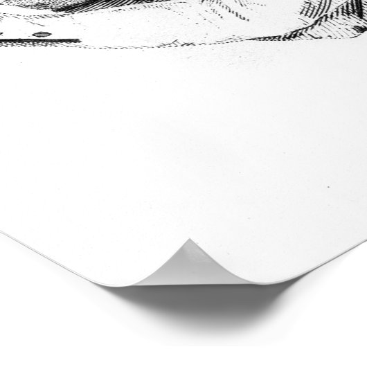 Paddington Tom Jones Poster (Ecke)