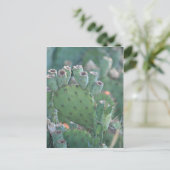 Paddle Cactus Postkarte (Stehend Vorderseite)