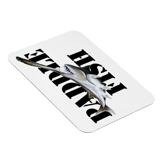 Paddlefisch Magnet (Rechte Seite)