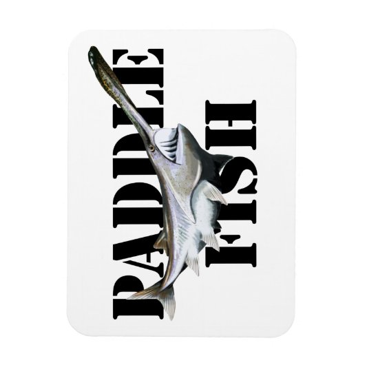 Paddlefisch Magnet (Vertikal)