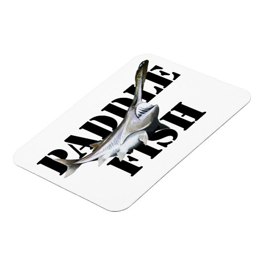 Paddlefisch Magnet (Linke Seite)