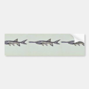 Paddlefish Autoaufkleber