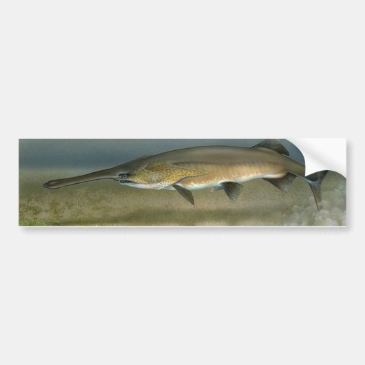 Paddlefish Autoaufkleber (Vorne)