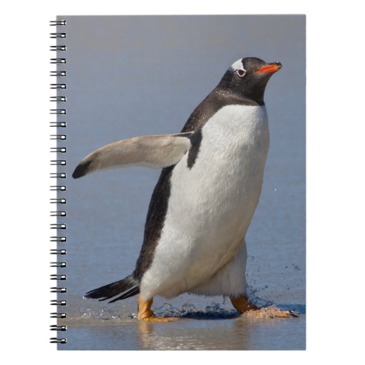 Paddling Gentoo Notebook Notizblock (Vorderseite)