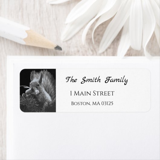 Paddy Cake, Squirrel (Insitu)