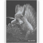 Paddy Cake, Squirrel Aufkleber (Vorderseite)