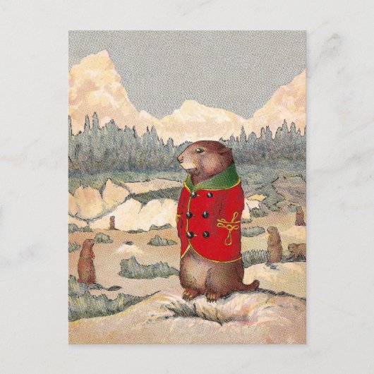 Paddy Paws in Prairie Dog Town Postkarte (Vorderseite)