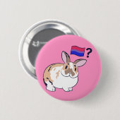 Paddy Pride Abzeichen (Bisexuell) Button (Vorne & Hinten)