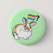 Paddy Pride Abzeichen (Pansexual) Button (Vorderseite)