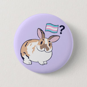 Paddy Pride Abzeichen (Transgender) Button
