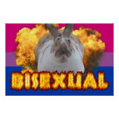 Paddy Pride Poster (Bisexuell) (Vorderseite)