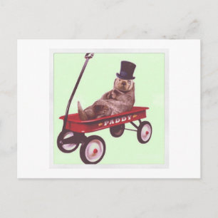 Paddywagenpostkarte Postkarte