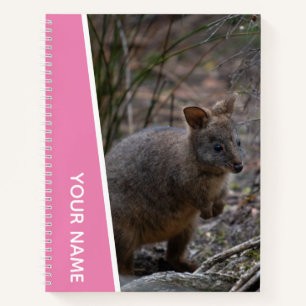 Pademelon, Australien, Süße Tier, Rosa Notizblock
