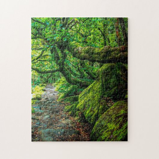 Padley Gorge, Debryshire Puzzle (Vertikal)