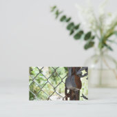 Padlock Lock Chain Link Fence NYC Urban Foto Visitenkarte (Stehend Vorderseite)