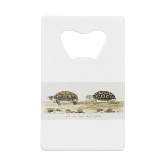 Padloper Tortoise Geldbeutel Flaschenöffner (Vorderseite)