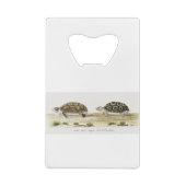 Padloper Tortoise Geldbeutel Flaschenöffner (Rückseite)