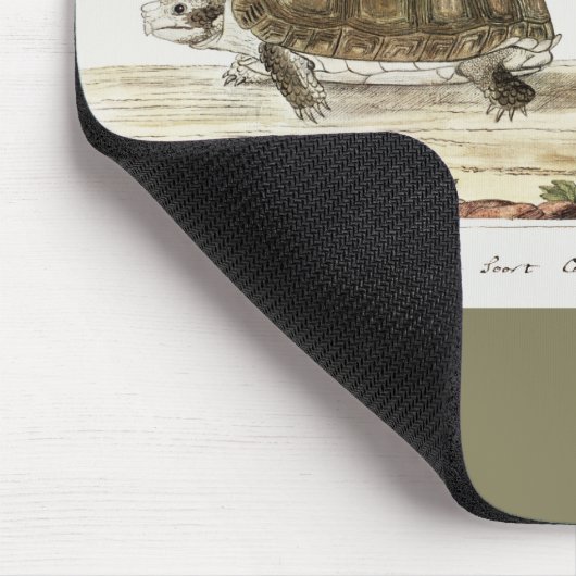 Padloper Tortoise Mousepad (Ecke)