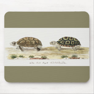 Padloper Tortoise Mousepad