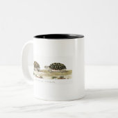Padloper Tortoise Zweifarbige Tasse (Vorderseite Links)