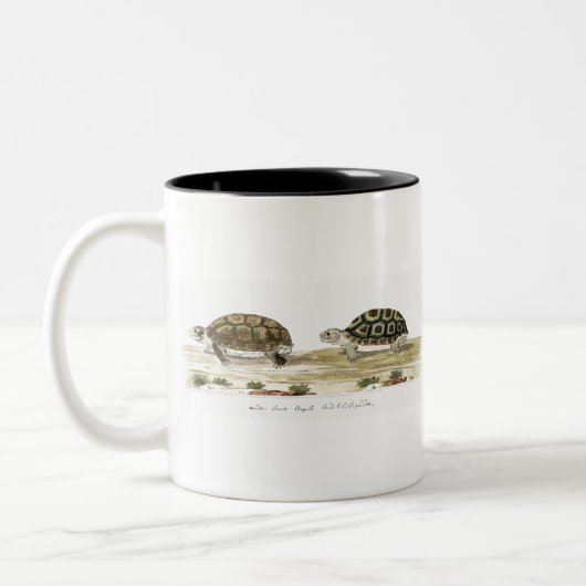 Padloper Tortoise Zweifarbige Tasse (Links)