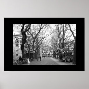 Padova, Italien Poster