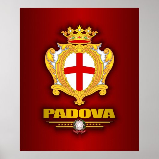 Padova (Padua) Poster (Vorne)