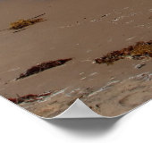 Padre Island Beach Poster (Ecke)