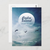 Padre Island National Seashore Brown Pelicans Postkarte (Vorne/Hinten)