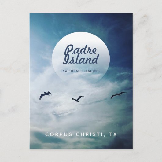 Padre Island National Seashore Brown Pelicans Postkarte (Vorderseite)