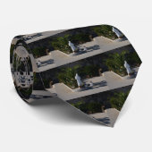 Padre Pio Krawatte (Gerollt)