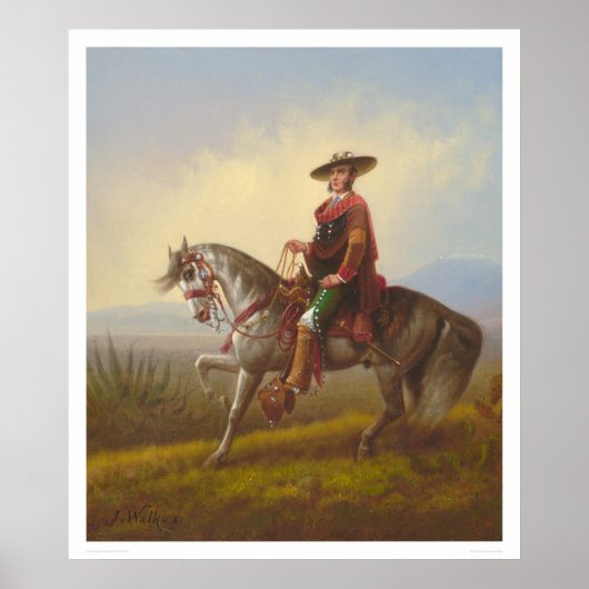 Padron (1163) poster (Vorne)