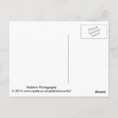 Padstow Cornwall England Postkarte (Rückseite)