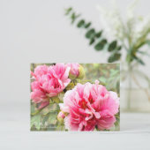Paeonia lactiflora "Shintouen" [Postkarte] Postkarte (Stehend Vorderseite)