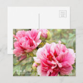 Paeonia lactiflora "Shintouen" [Postkarte] Postkarte (Vorne/Hinten)