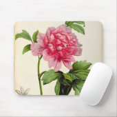 Paeonia Moutan, c.1799 Mousepad (Mit Mouse)