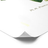 Paeonia moutan (Peony) Poster (Ecke)