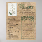 Pagan Wiccan Poster (Vorne)