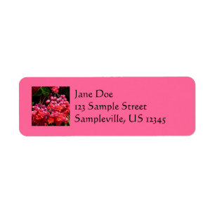 Pagode Blume farbenfroh rot und rosa