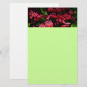 Pagode Blume farbenfroh rot und rosa Briefpapier (Vorne/Hinten)