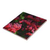 Pagode Blume farbenfroh rot und rosa Fliese (Seite)