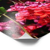 Pagode Blume farbenfroh rot und rosa Fotodruck (Ecke)